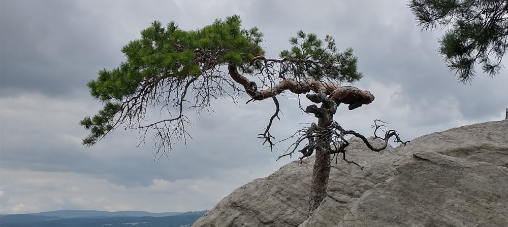 Překonej přijaté přesvědčení