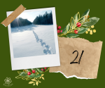 Fotografie adventni-kalendar-vnitrni-sila---21---ka_original.png