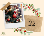 Fotografie adventni-kalendar-vnitrni-sila---22---ka_original.png
